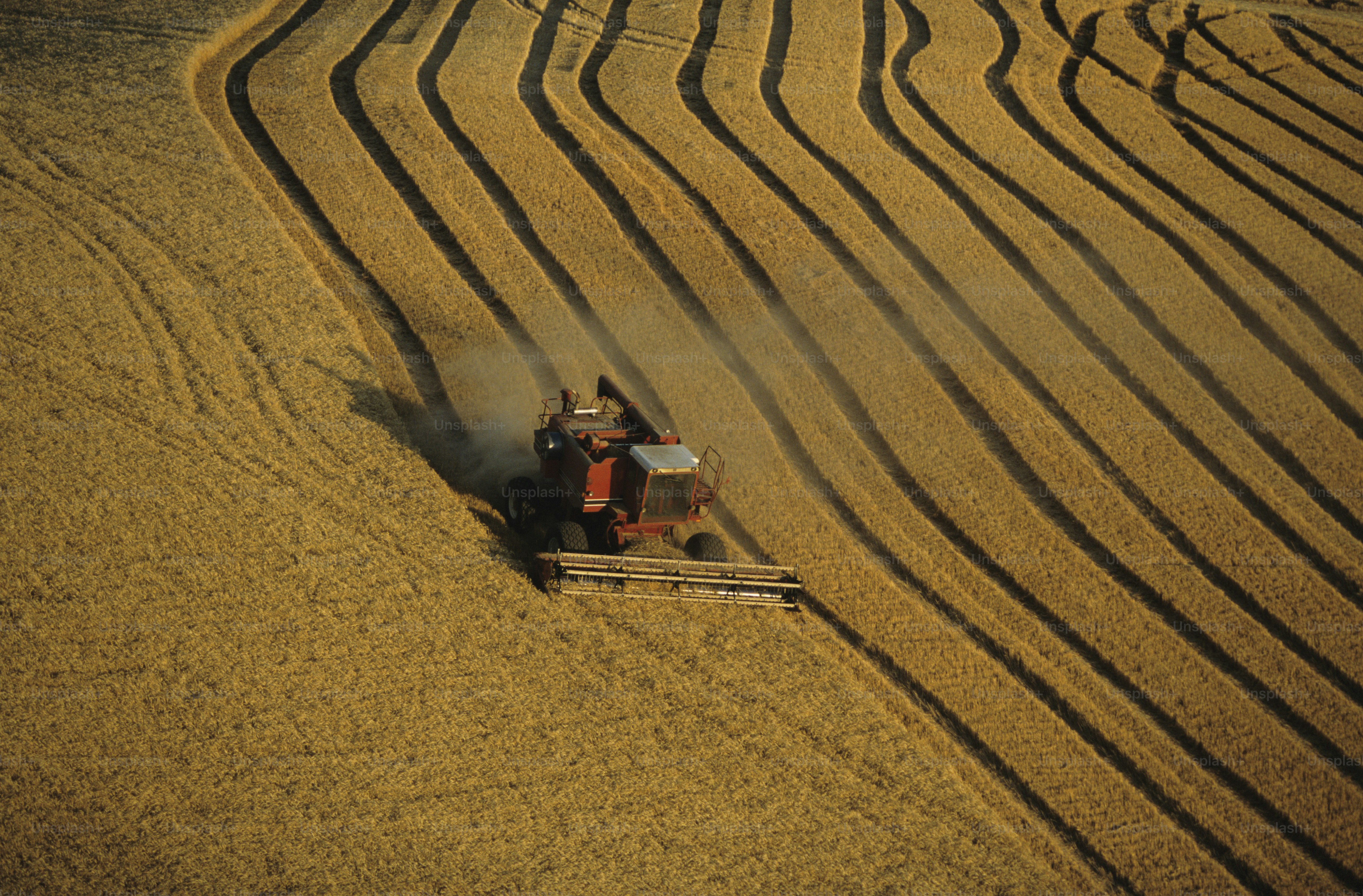 a tractor is driving through a field of grain