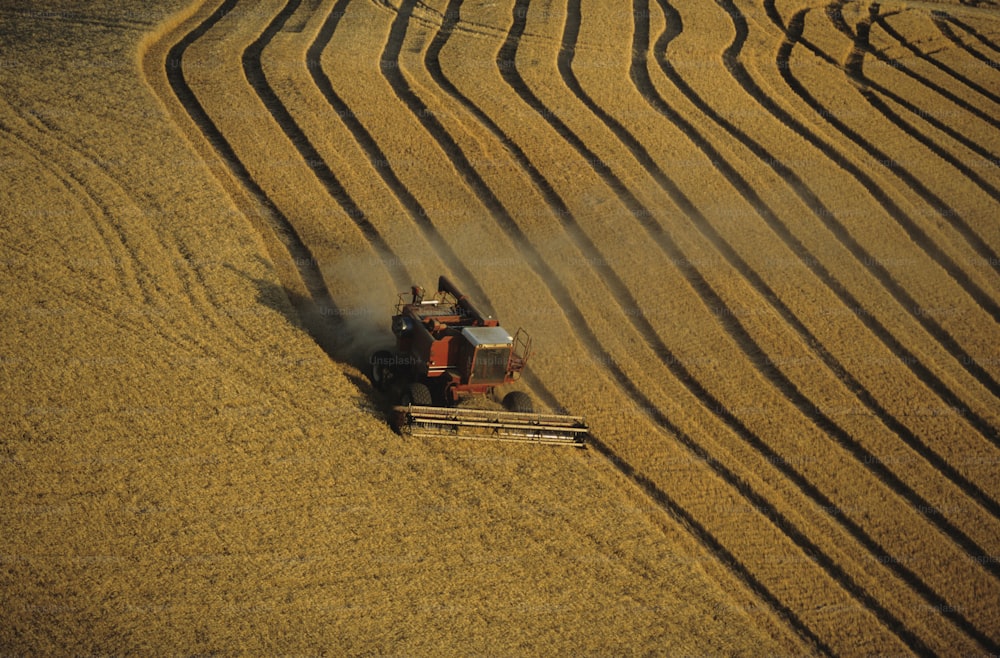 a tractor is driving through a field of grain
