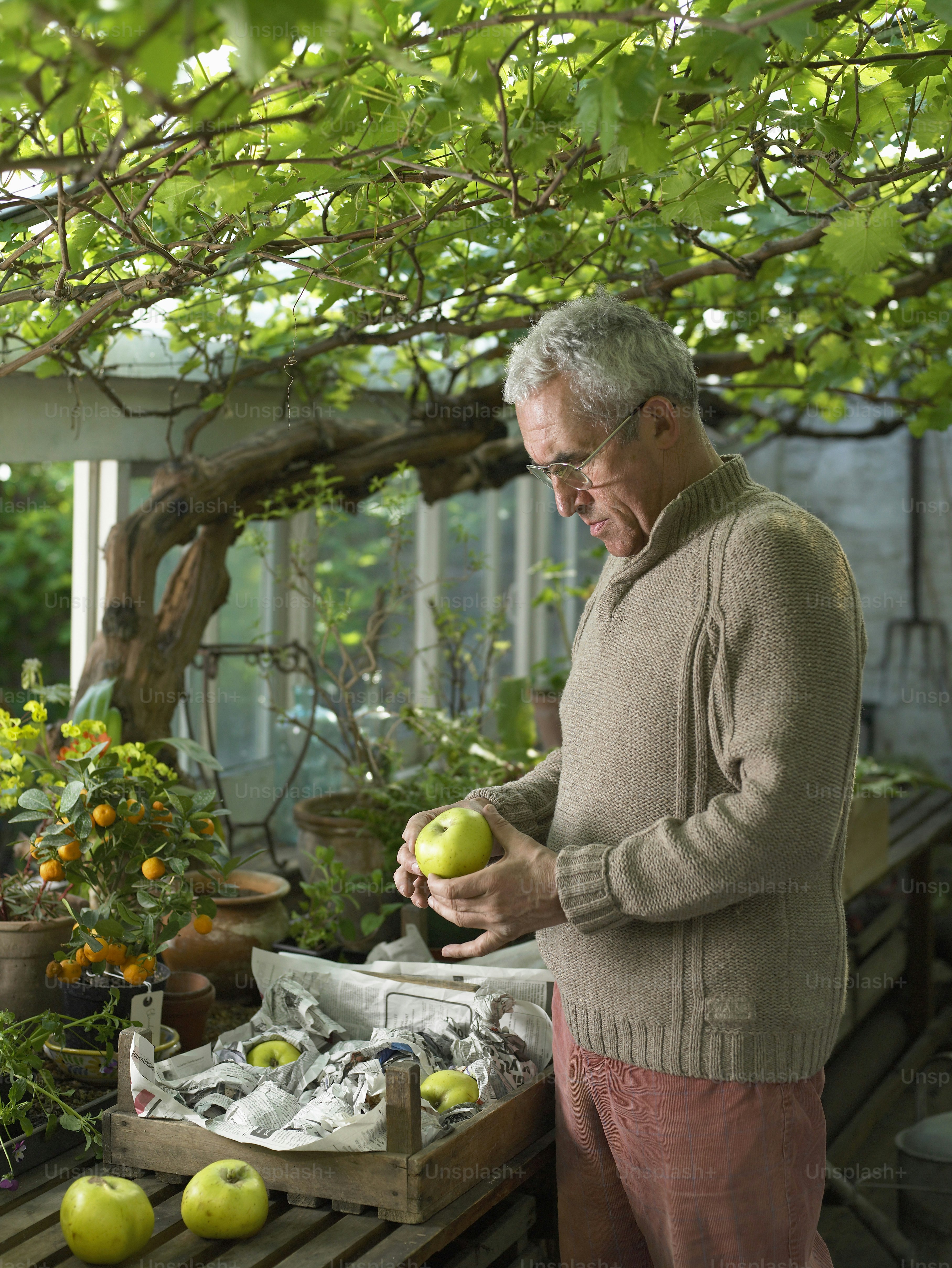 a man standing in front of a table filled with fruit