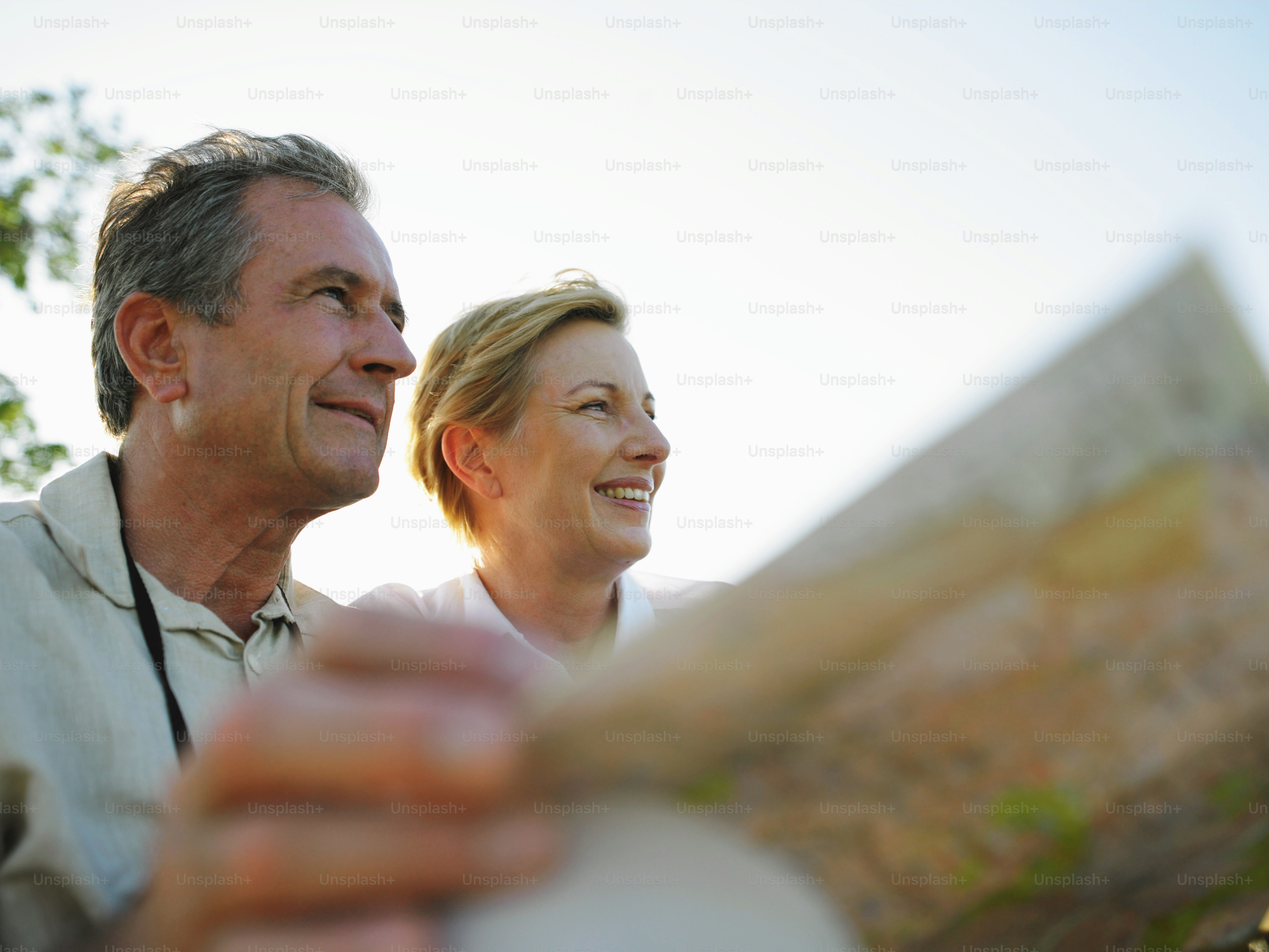 Décembre 2005, province de Mpumalanga, Afrique du Sud.