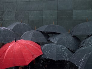 빗속에서 우산을 들고 있는 한 무리의 사람들