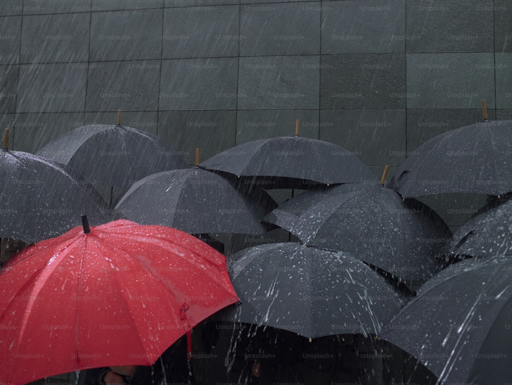 Eine Gruppe von Menschen, die Regenschirme im Regen halten