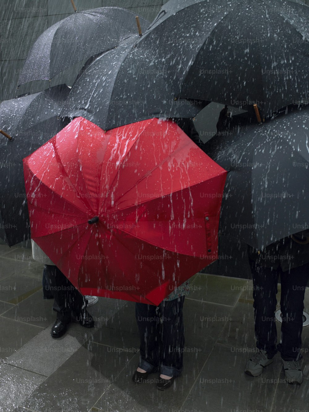 a group of people holding umbrellas in the rain