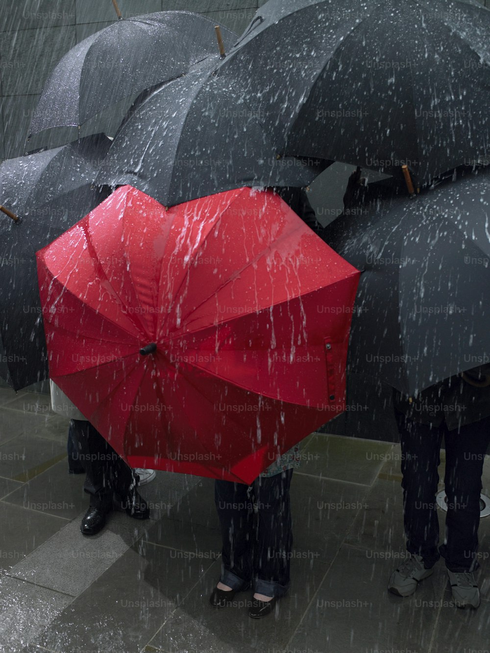 Eine Gruppe von Menschen, die Regenschirme im Regen halten