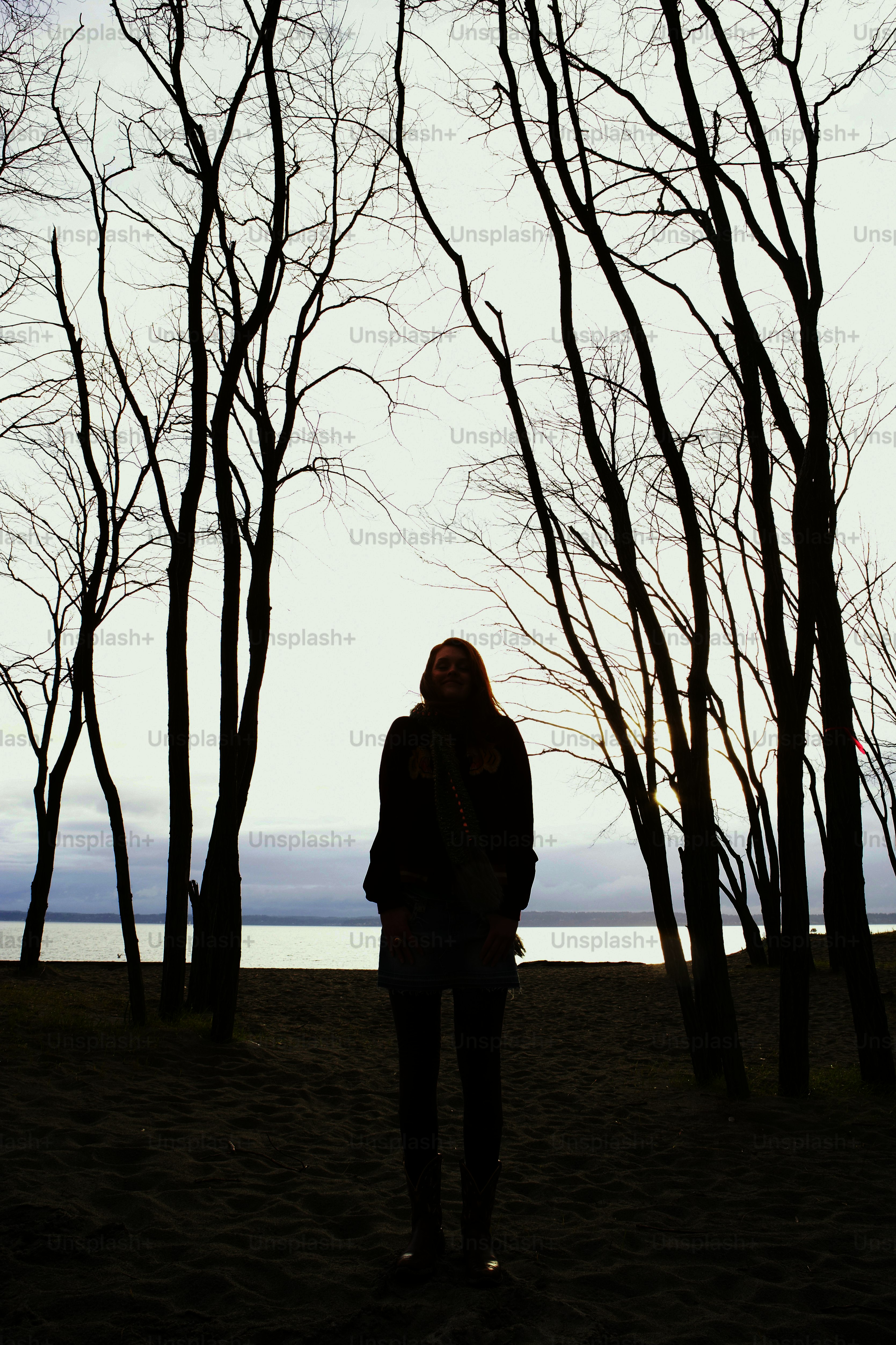 Cette image a été prise près du Puget Sound, à Seattle, dans l’État de Washington, aux États-Unis.