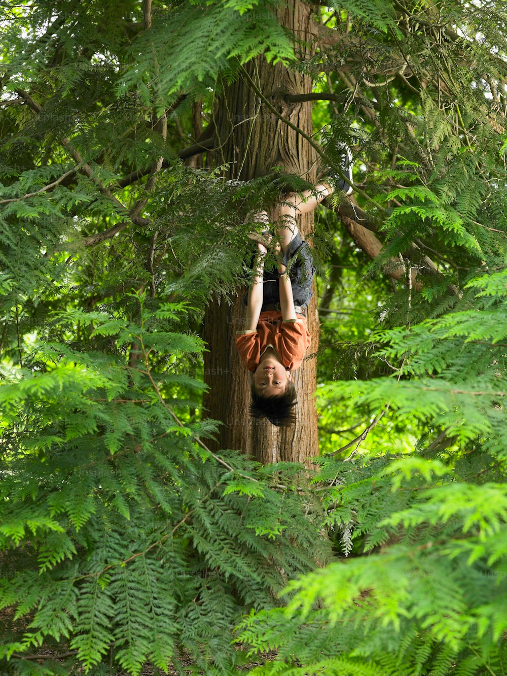 a man hanging upside down from a tree in a forest