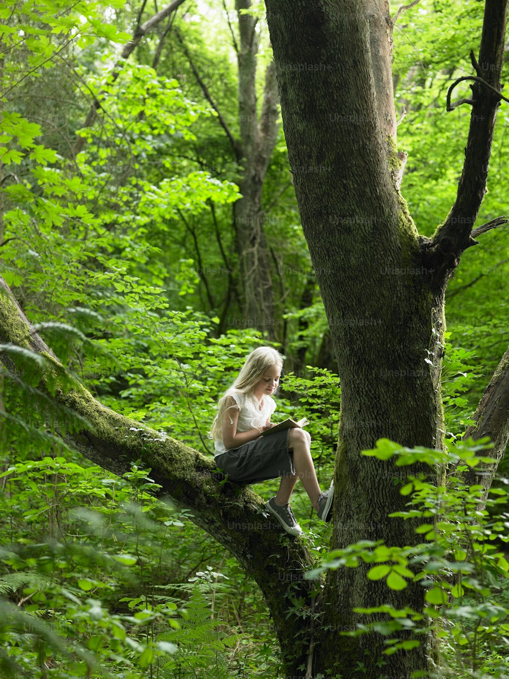 a woman sitting on a tree branch in the woods