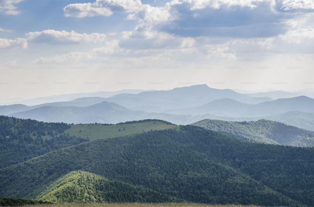 Montagne slovacche: Bellissimo paesaggio in estate.