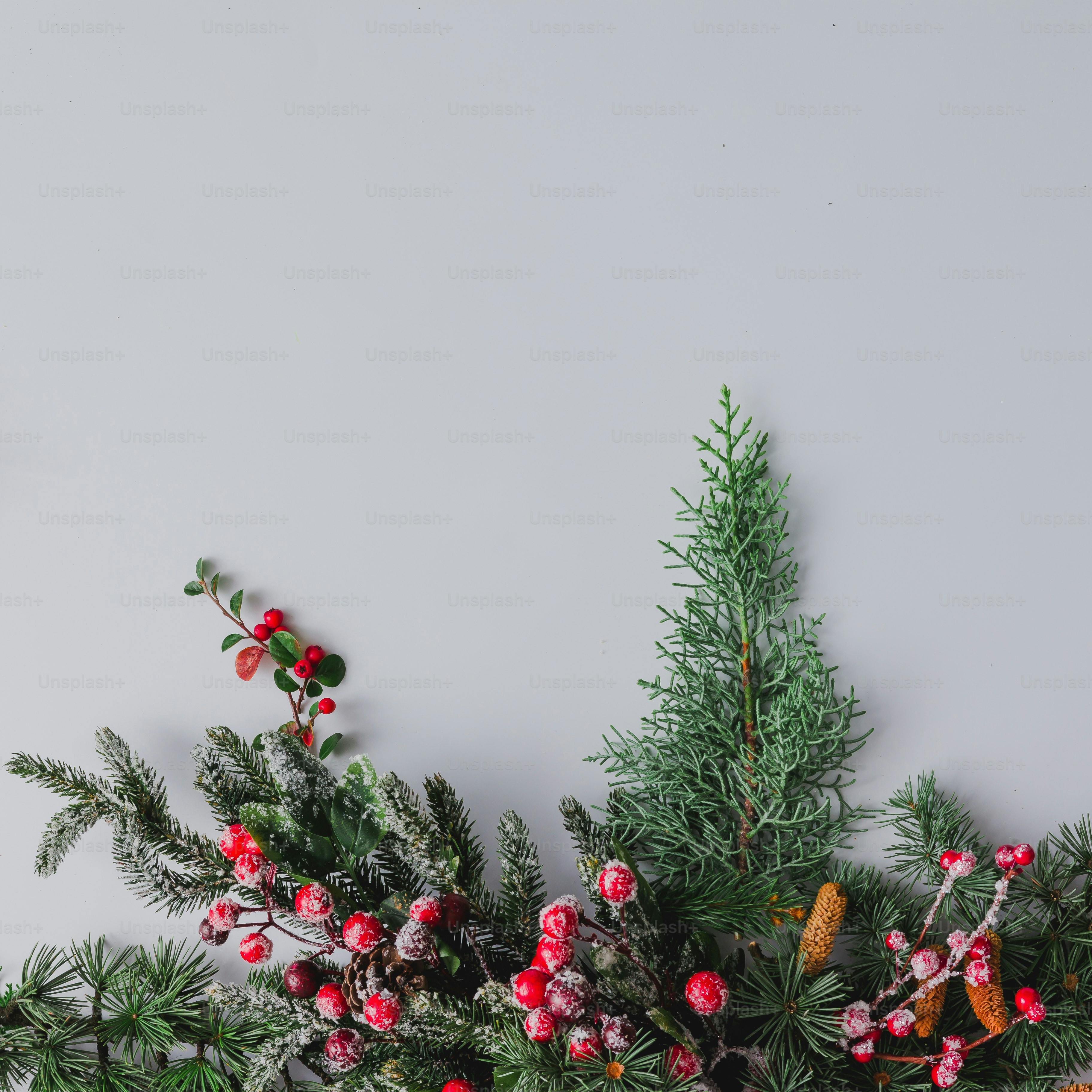 Christmas background made of natural winter things on white. Flat lay.