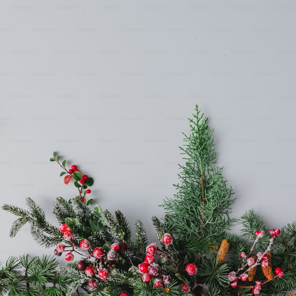 Christmas background made of natural winter things on white. Flat lay.