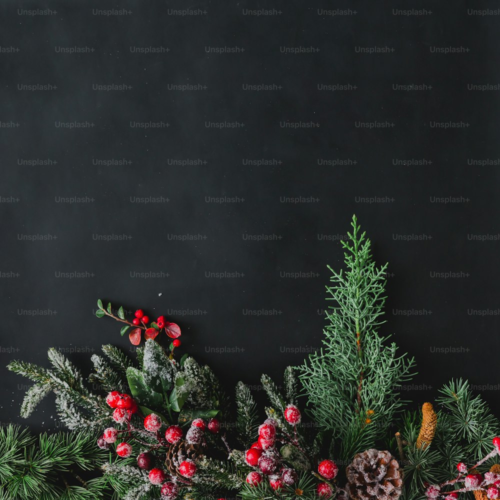 Fond de Noël fait de choses naturelles d’hiver sur un tableau noir sombre. Pose à plat.