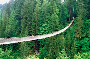 des personnes traversant un pont suspendu au milieu d’une forêt