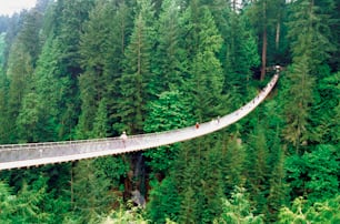 people walking across a suspension bridge in the middle of a forest