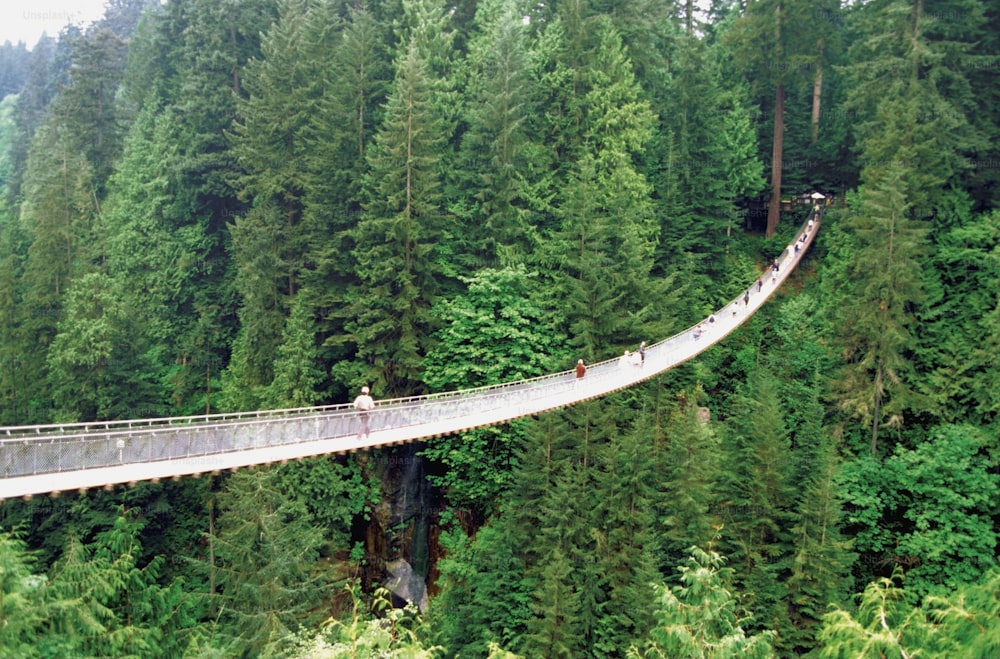 people walking across a suspension bridge in the middle of a forest