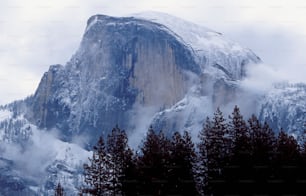 a mountain covered in snow surrounded by trees