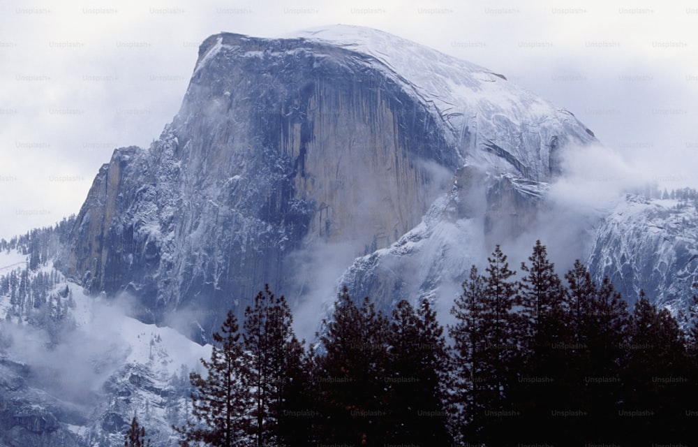 uma montanha coberta de neve cercada por árvores