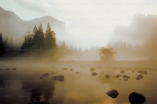 a foggy lake with rocks and trees in the background