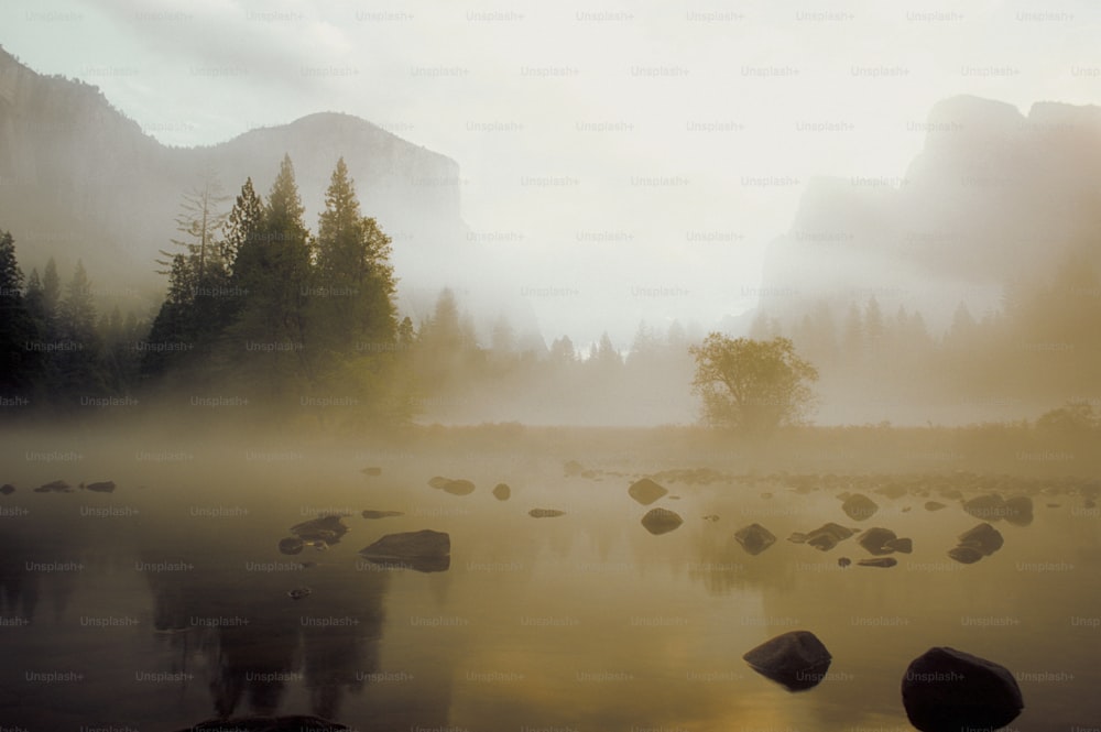 a foggy lake with rocks and trees in the background