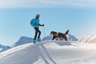 Ragazza in cima a una montagna con gli sci e il suo cane alpinista