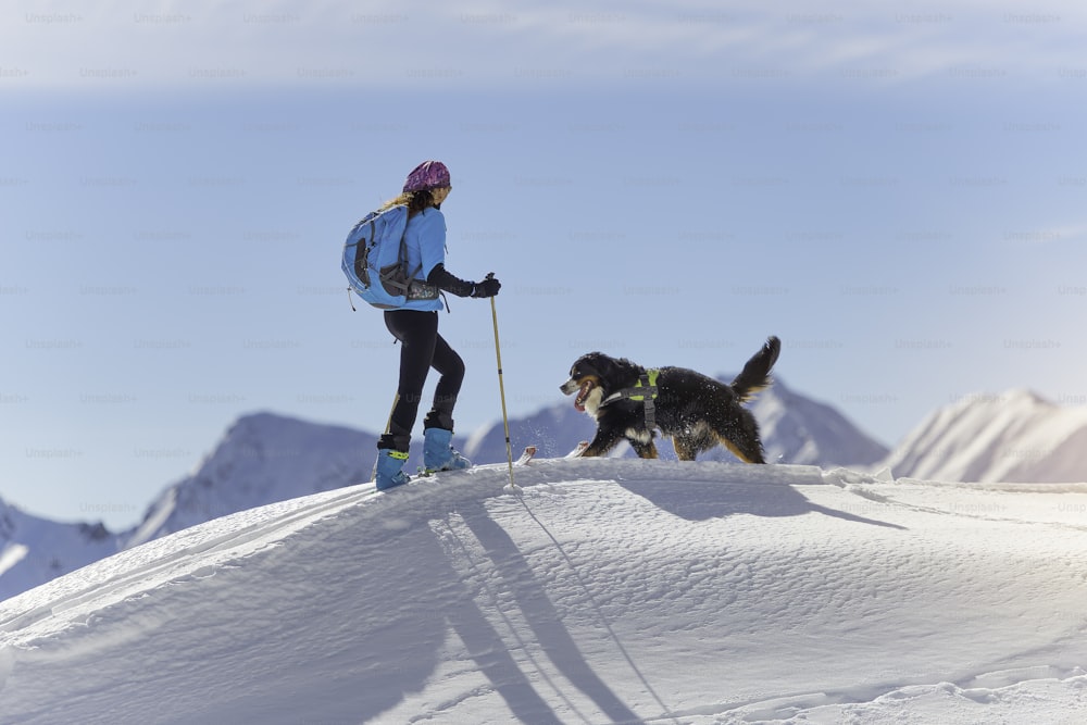 Girl on top of a mountain with skis and his mountaineer dog