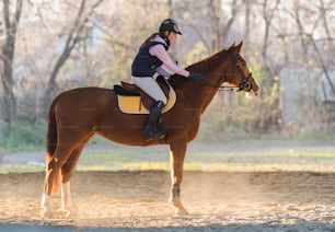 Young pretty girl riding a horse