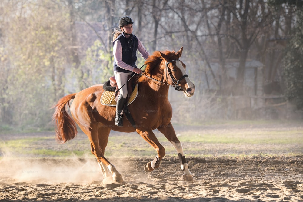 Young pretty girl riding a horse