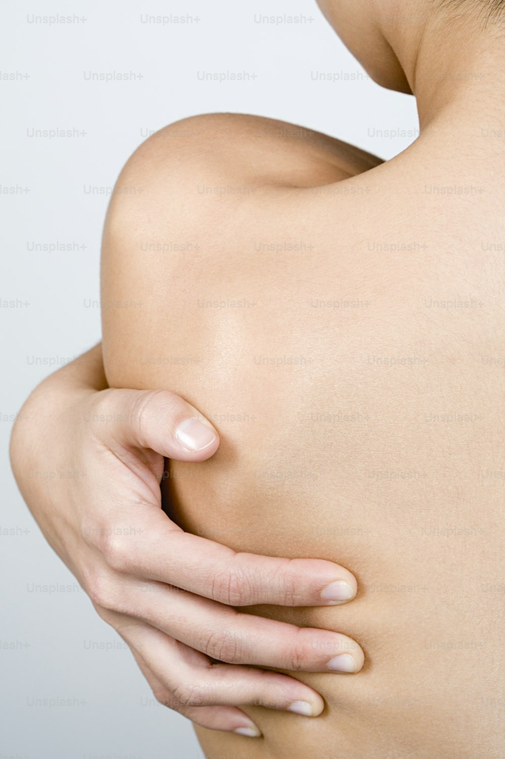Muscles de l' épaule et du bras – Medical Stock Images Company