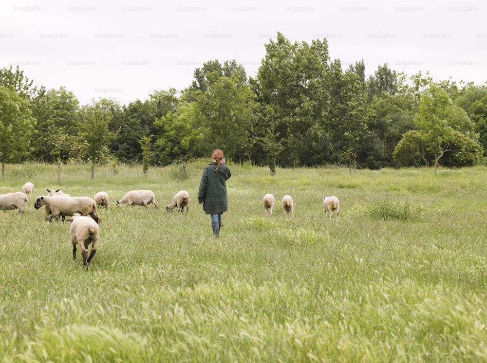 a woman standing in a field with a herd of sheep