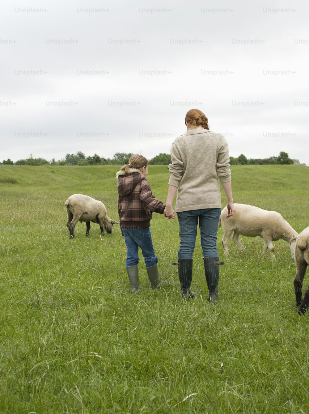 Une femme et un enfant se tiennent dans un champ avec des moutons