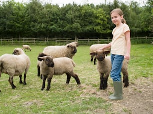 a little girl standing in front of a herd of sheep