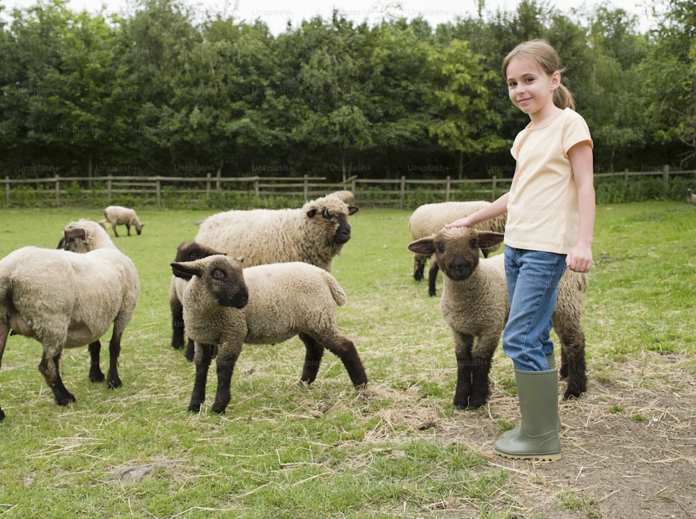 a little girl standing in front of a herd of sheep