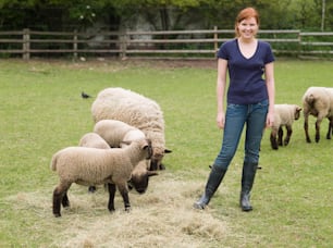 a woman standing next to a herd of sheep