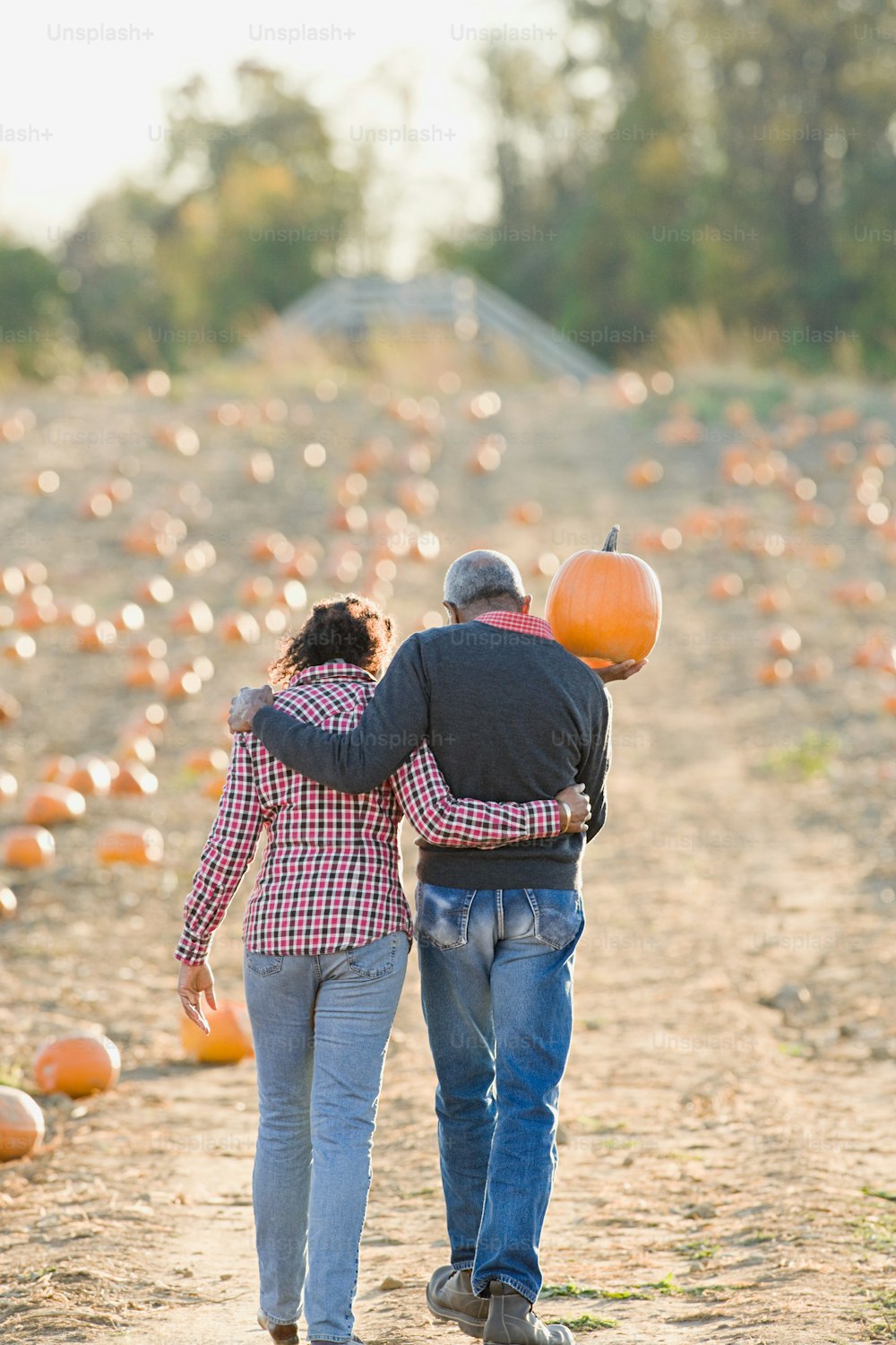 a man and woman walking through a pumpkin patch