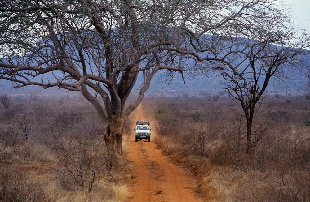 um caminhão dirigindo por uma estrada de terra ao lado de uma árvore