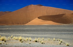 Un gruppo di dune di sabbia nel deserto