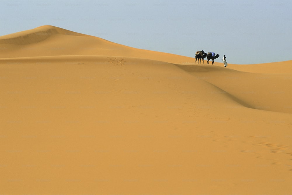 a couple of people riding on the back of a horse