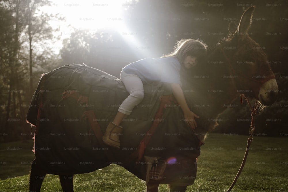 uma mulher está sentada em cima de um cavalo
