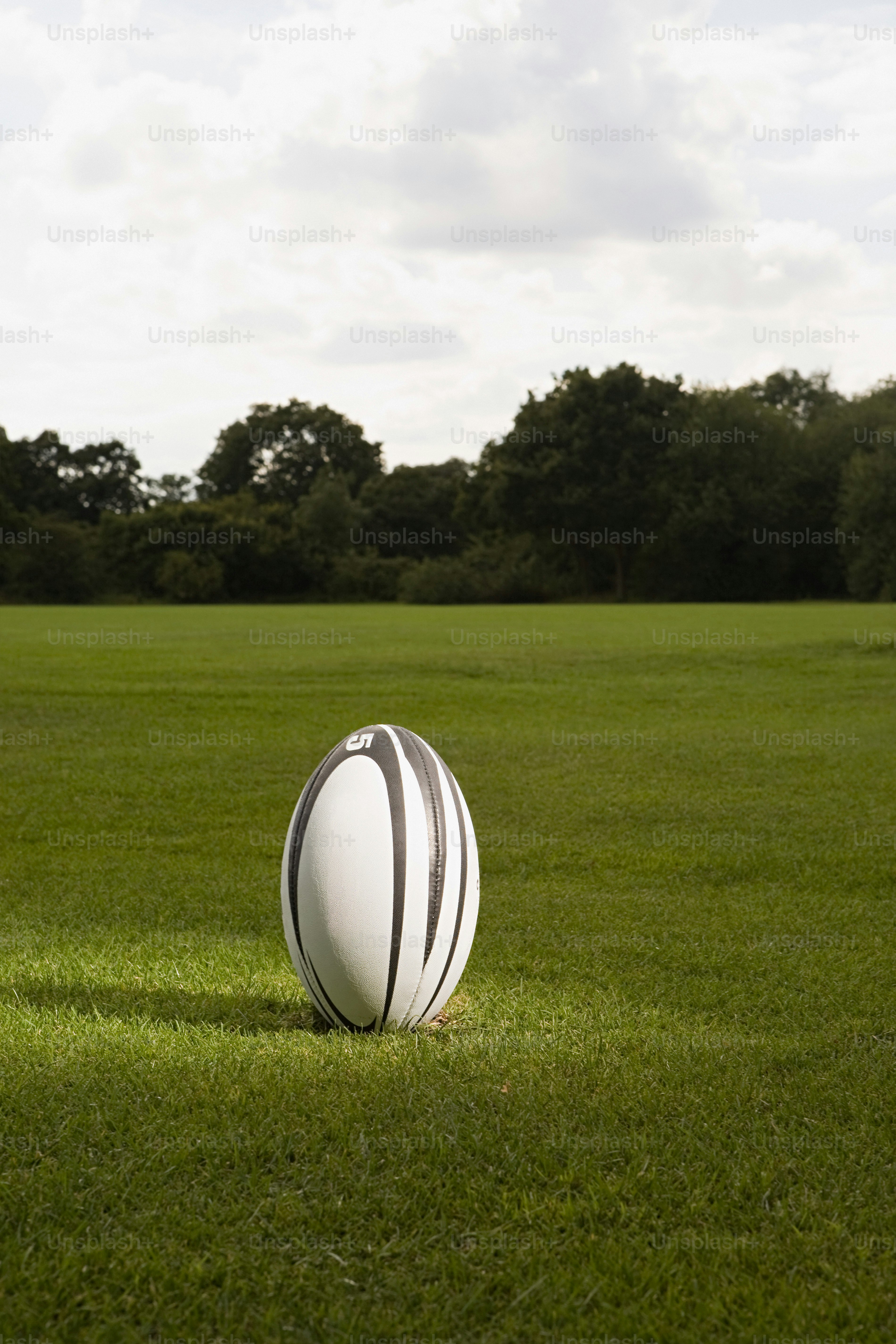 Un pallone da rugby seduto in cima a un campo verde lussureggiante