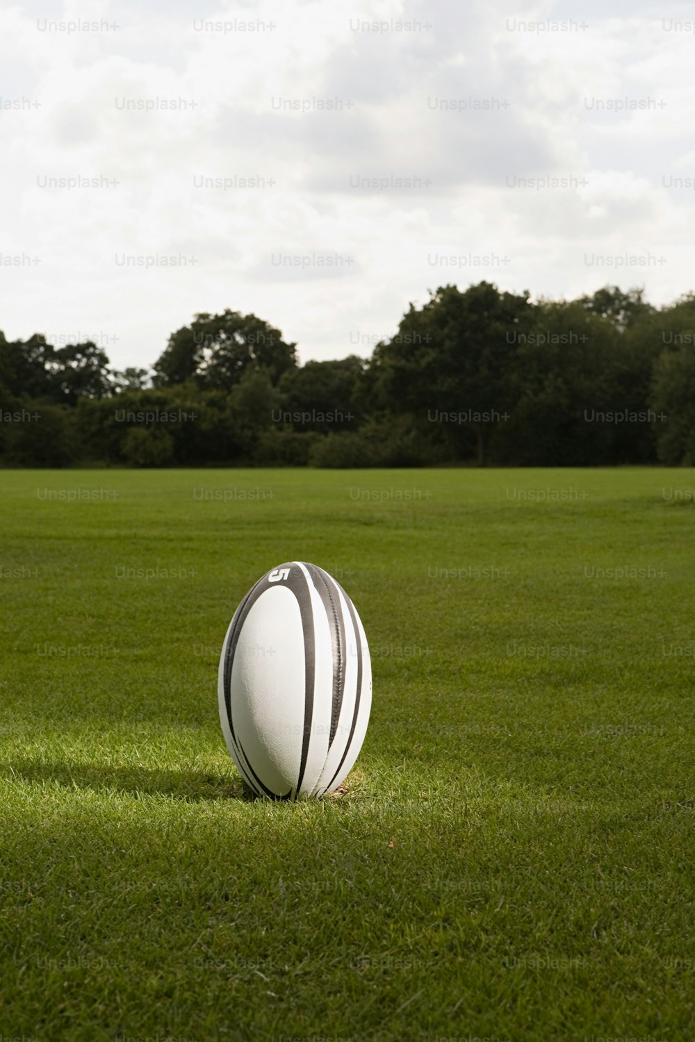 Ein Rugbyball, der auf einem üppig grünen Feld sitzt