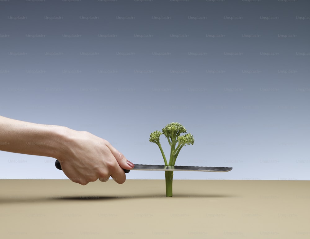 a hand holding a knife cutting a piece of broccoli