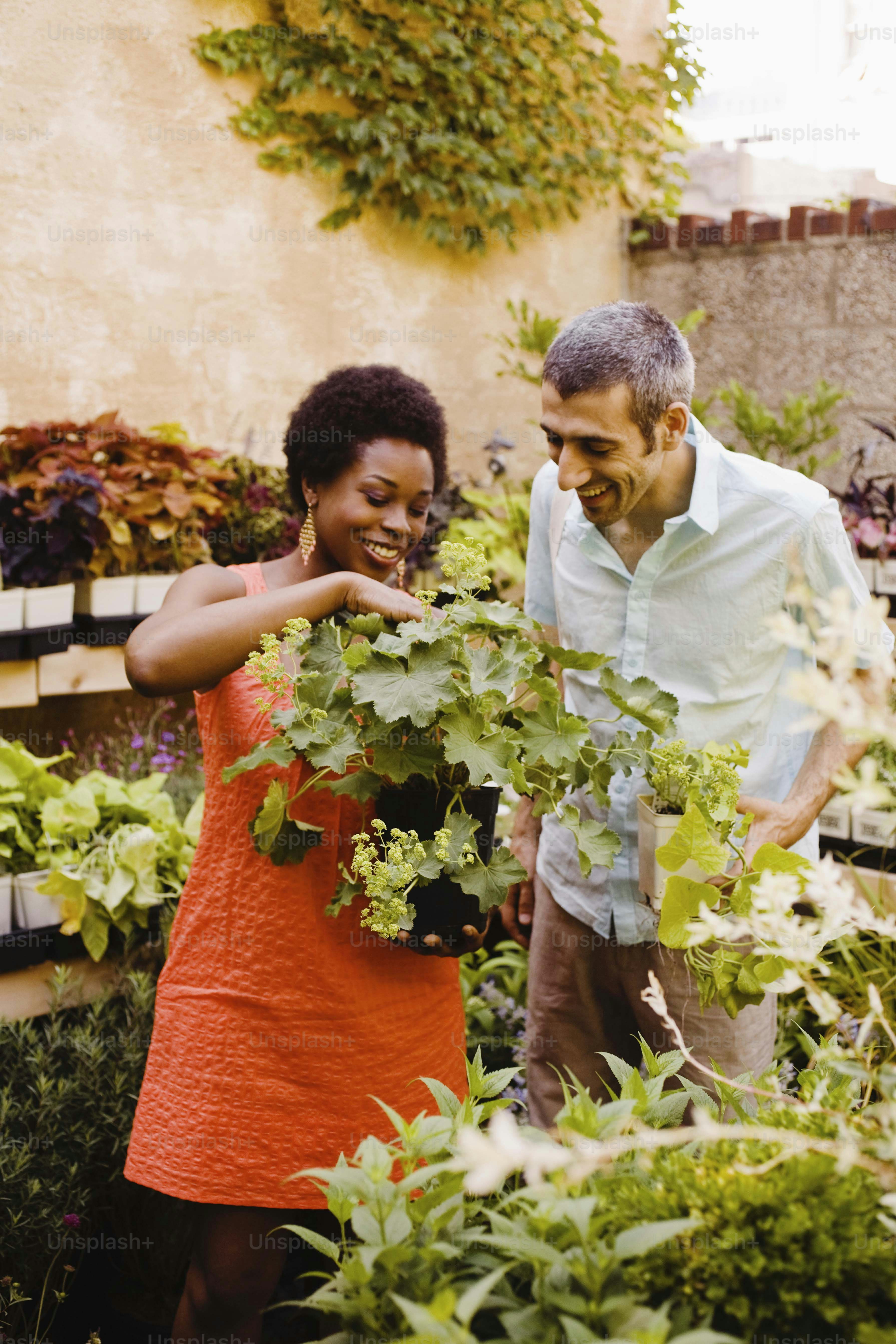 A man and a woman are looking at plants photo – Black woman and white ...