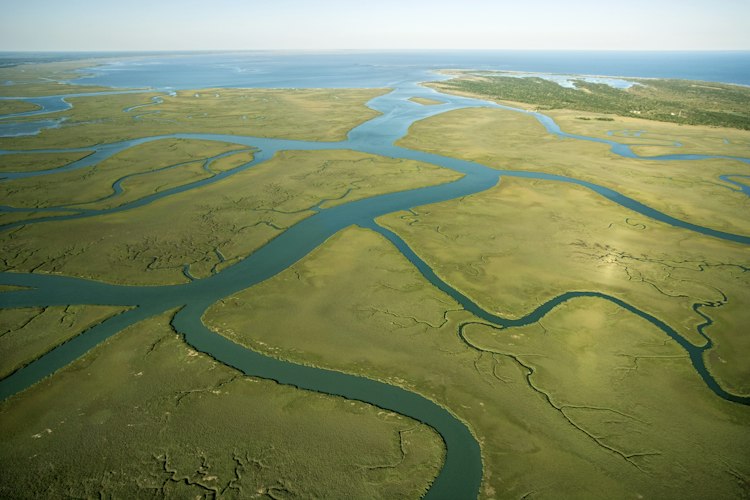 Longest Rivers in Africa: From the Nile to the Congo and Beyond