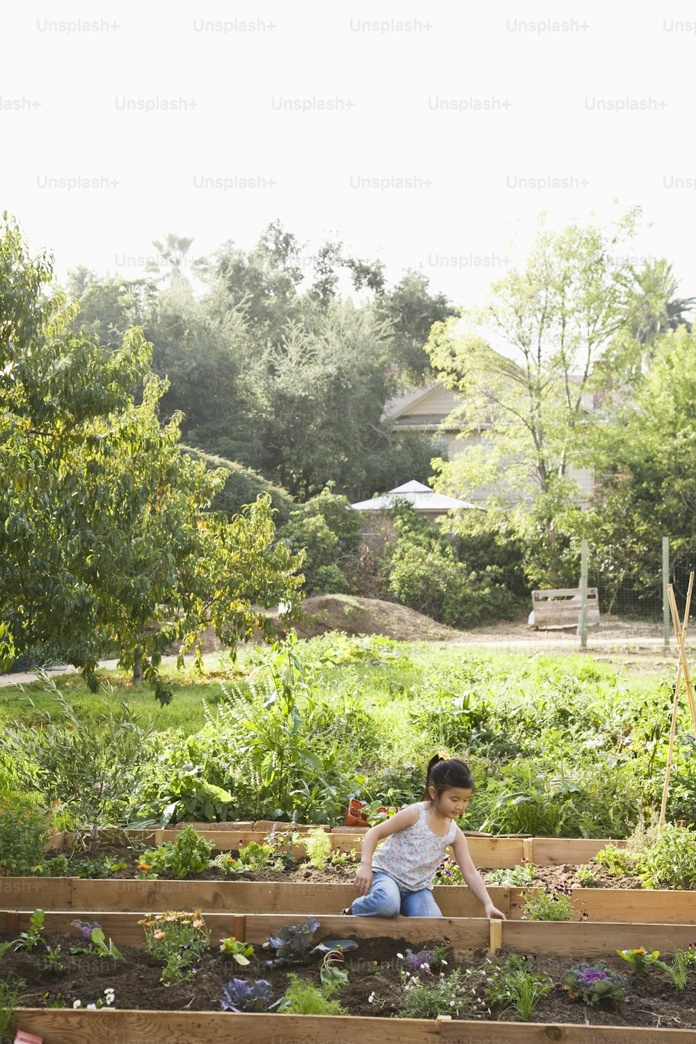a woman kneeling down in a garden filled with lots of plants