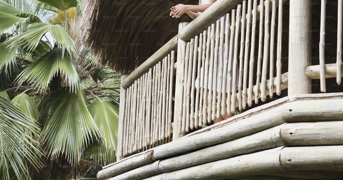A man standing on a balcony next to a palm tree photo – Railing Image ...