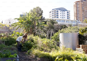 a woman tending to plants in a garden