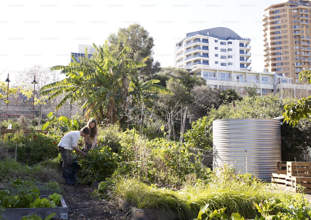 a woman tending to plants in a garden