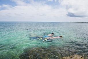 a couple of people swimming in the ocean
