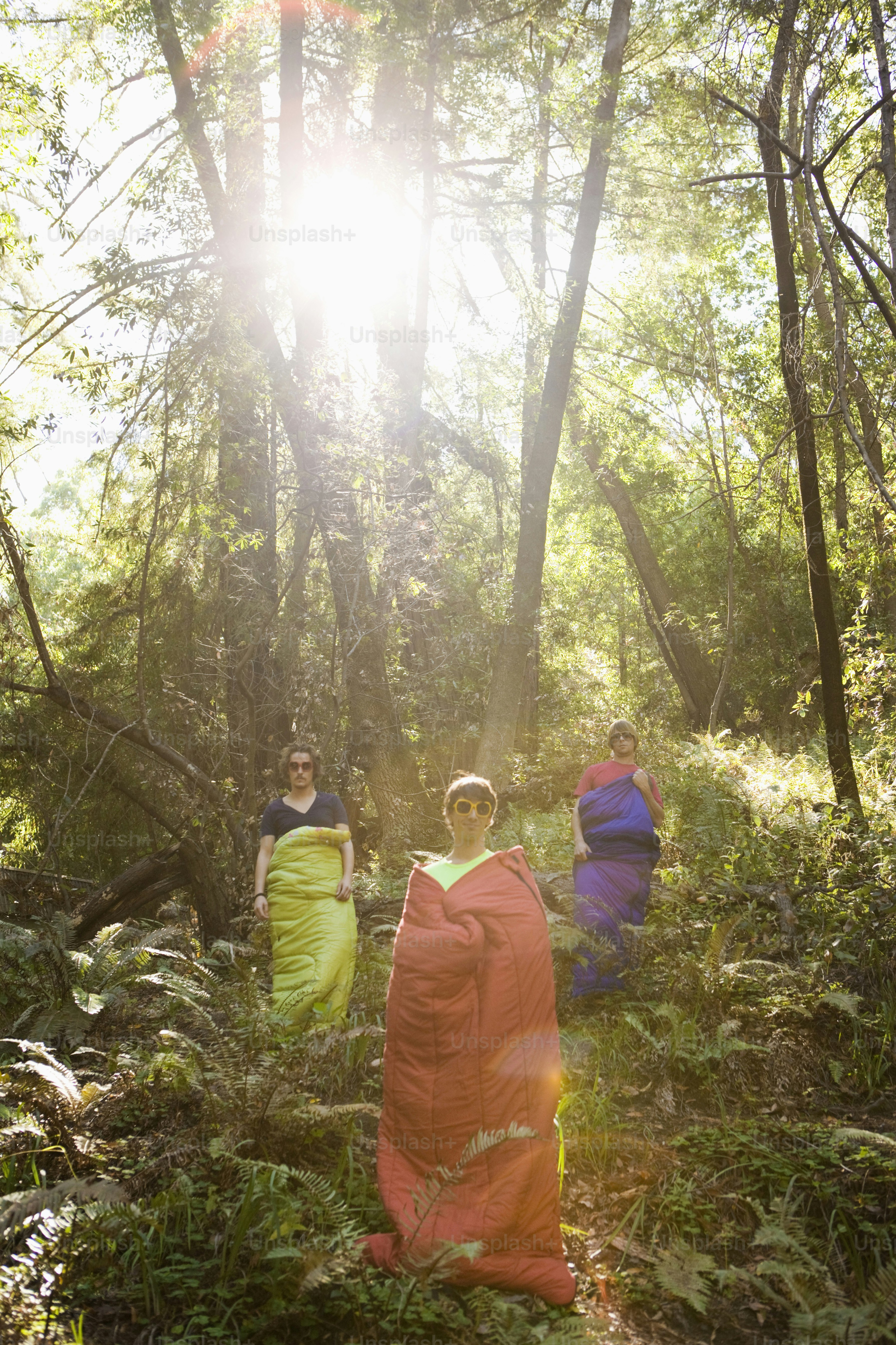 a group of people walking through a forest