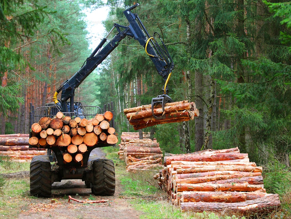 森で働く現代のハーベスターを持つ木こり。再生可能エネルギー源としての木材。製材業をテーマにしています。