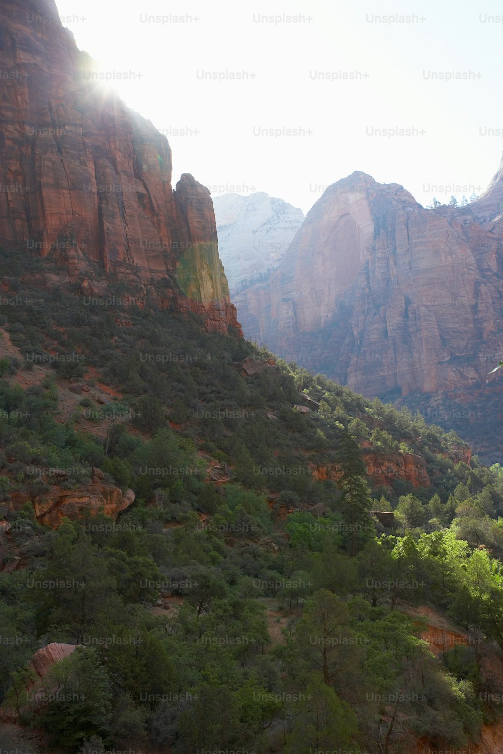 the sun shines on the mountains and trees